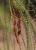 Img.VTax552.Ex1.Img2