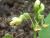 Img.VTax554.Ex1.Img1