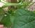 Img.VTax554.Ex1.Img3