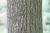 Img.VTax555.Ex1.Img1