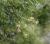 Img.VTax555.Ex1.Img2