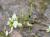 Img.VTax555.Ex1.Img3