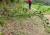 Img.VTax568.Ex1.Img1
