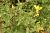 Img.VTax568.Ex1.Img2