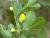 Img.VTax570.Ex1.Img1