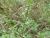 Img.VTax570.Ex1.Img2