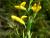 Img.VTax573.Ex2.Img1
