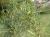 Img.VTax574.Ex1.Img1