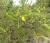 Img.VTax574.Ex1.Img3