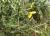 Img.VTax574.Ex1.Img4