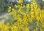 Img.VTax574.Ex1.Img6
