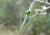 Img.VTax574.Ex1.Img7