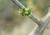 Img.VTax574.Ex1.Img8