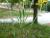Img.VTax575.Ex2.Img1
