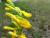 Img.VTax575.Ex2.Img2