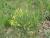 Img.VTax575.Ex2.Img3