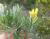 Img.VTax579.Ex1.Img1