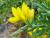 Img.VTax579.Ex1.Img3