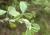 Img.VTax582.Ex1.Img3