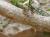 Img.VTax583.Ex1.Img4