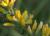 Img.VTax584.Ex1.Img1