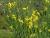 Img.VTax592.Ex1.Img1