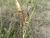 Img.VTax592.Ex1.Img4