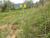 Img.VTax593.Ex2.Img1