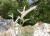 Img.VTax593.Ex2.Img10
