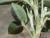Img.VTax593.Ex2.Img6