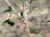 Img.VTax593.Ex2.Img7