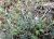 Img.VTax593.Ex2.Img9