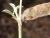 Img.VTax593.Ex3.Img2