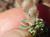Img.VTax593.Ex3.Img3