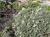 Img.VTax604.Ex1.Img1