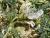 Img.VTax604.Ex1.Img3