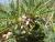 Img.VTax604.Ex1.Img4