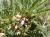 Img.VTax604.Ex2.Img1