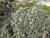 Img.VTax604.Ex2.Img3