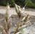 Img.VTax612.Ex1.Img1