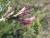 Img.VTax612.Ex1.Img3