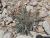 Img.VTax612.Ex1.Img5