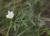Img.VTax640.Ex2.Img1