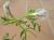 Img.VTax644.Ex1.Img1