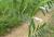 Img.VTax644.Ex1.Img2