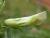 Img.VTax644.Ex1.Img3