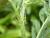 Img.VTax644.Ex1.Img5