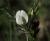 Img.VTax644.Ex2.Img1