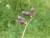 Img.VTax656.Ex2.Img1