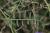 Img.VTax669.Ex1.Img3